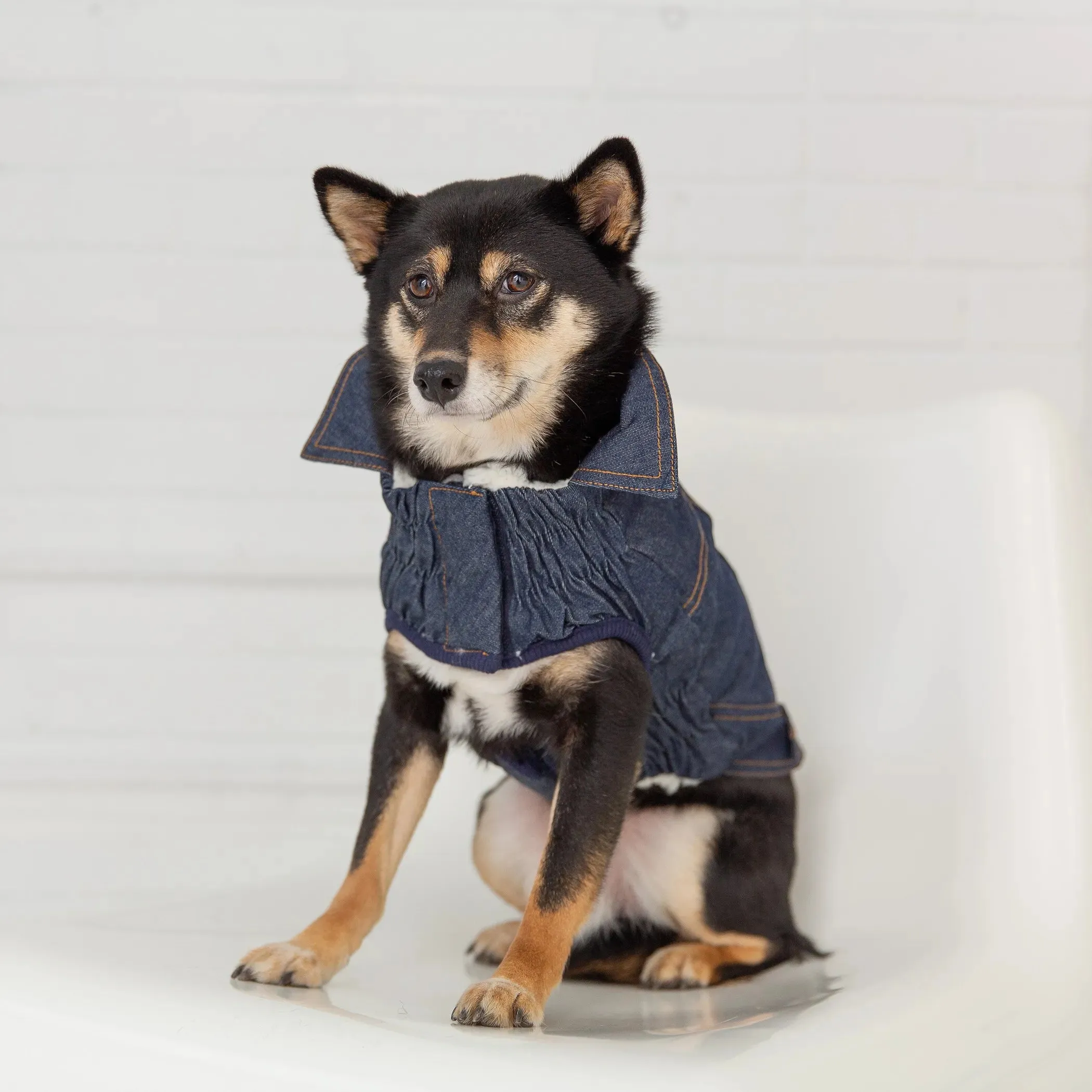 GF Pet Elasto-Fit Denim Dog Jacket