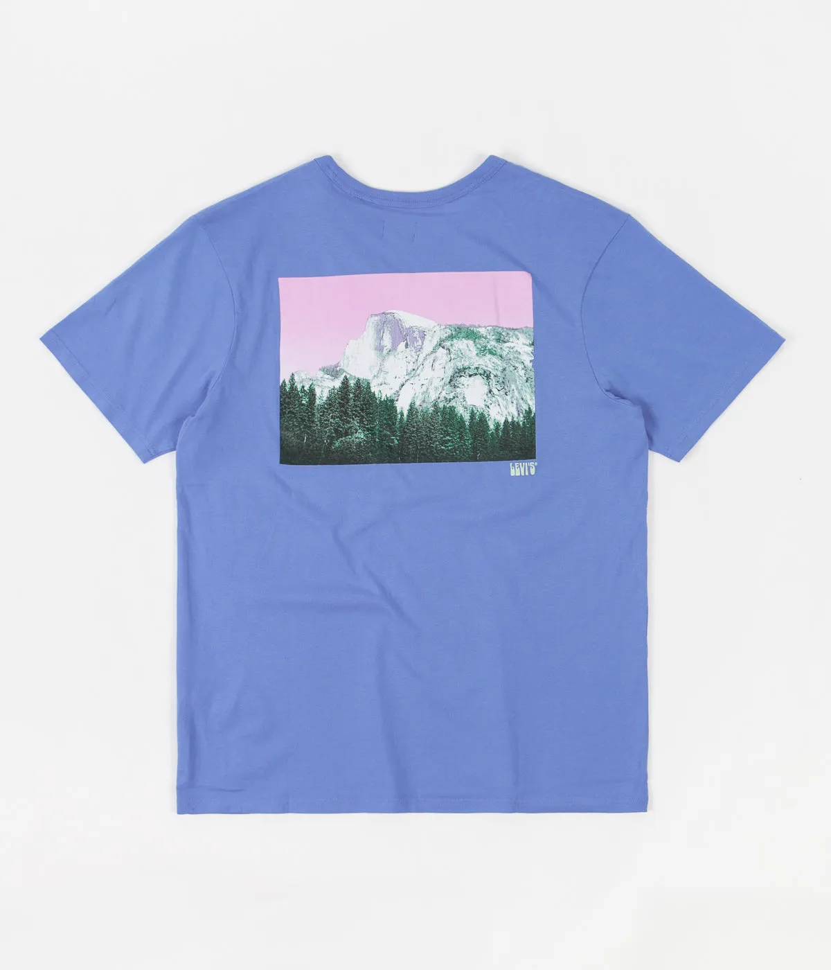 Levi's® Skate Graphic T-Shirt - Ultramarine / Yosemite