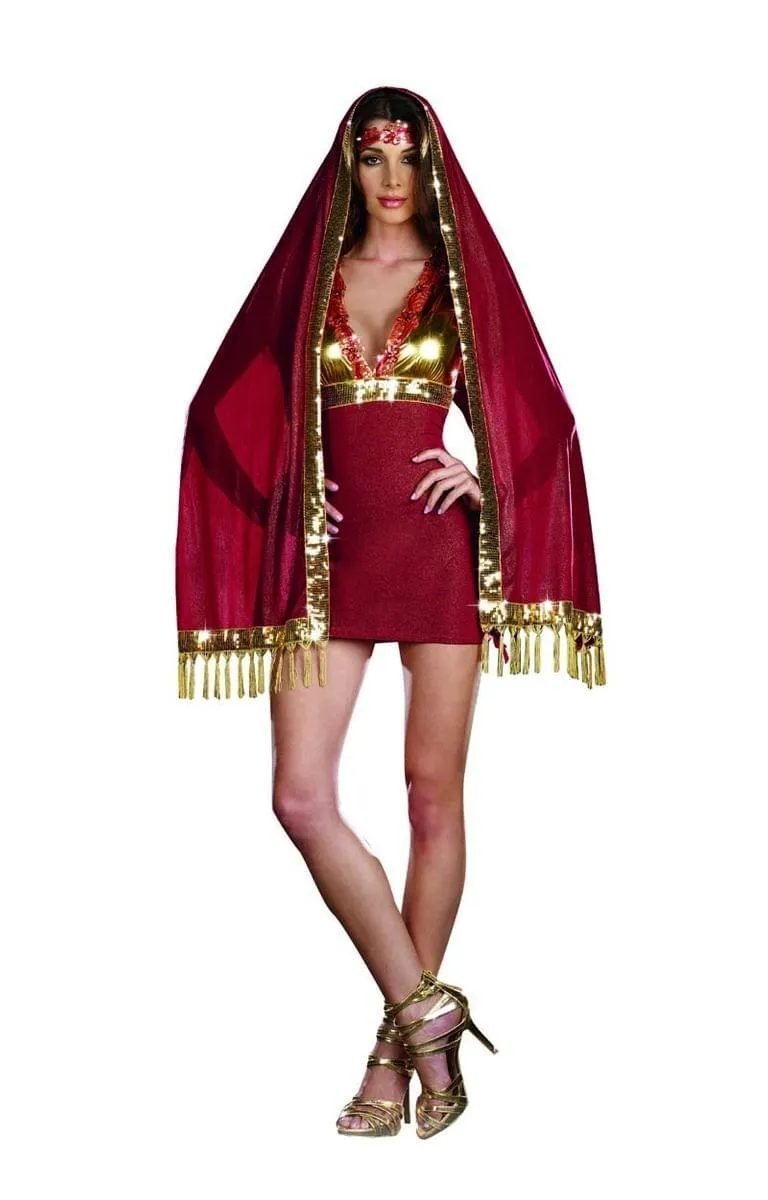 Sexy Bolly Ho Bollywood Costume Adult